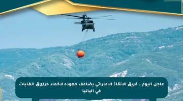عاجل اليوم.. فريق الإنقاذ الإماراتي يضاعف جهوده لإخماد حرائق الغابات في ألبانيا